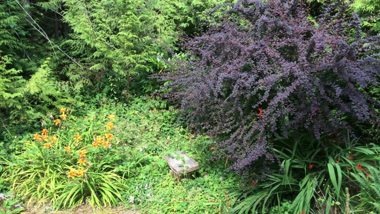 Secret Cove Cottage Suites Halfmoon Bay 외부 사진
